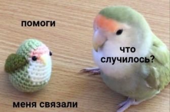 ПОСТОЯННОЕ БЕСПОКОЙСТВО И СТРЕСС